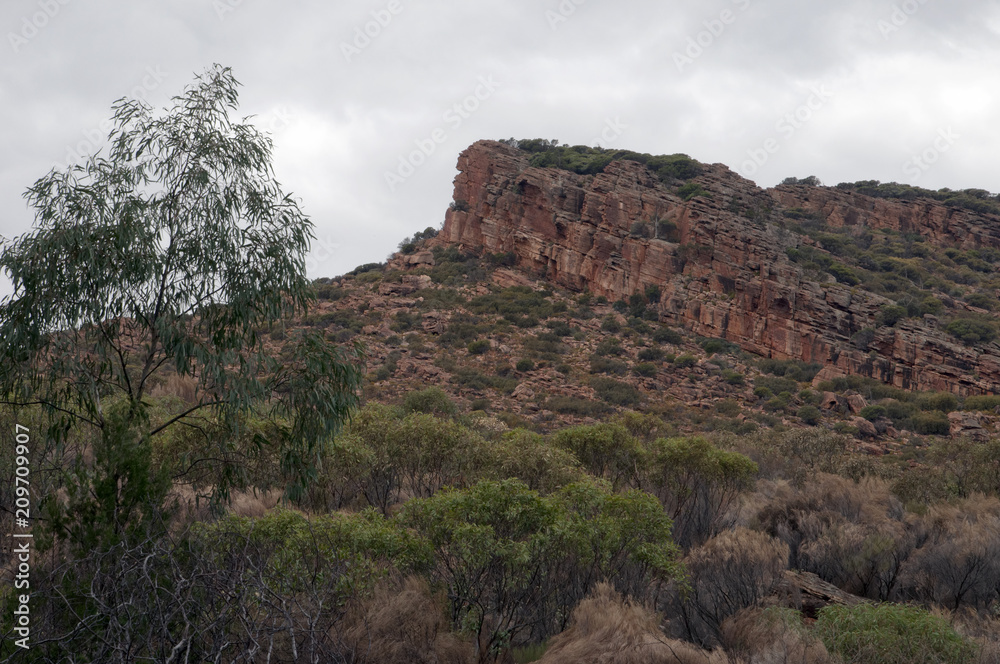 Wilpena Pound South Australia, view of a peak in the pound