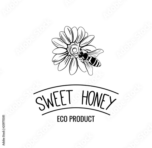 Flower, bee. Sweet honey logo. Eco product badge. Bee on flower. Vector. photo