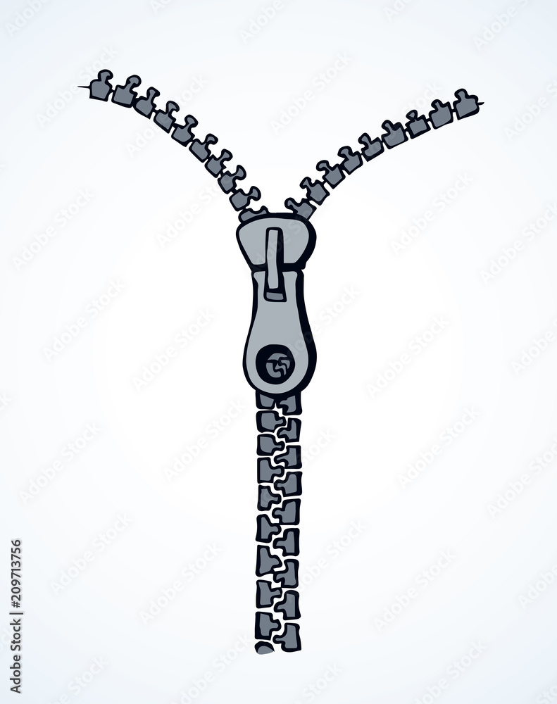 Zipper. Vector drawing Zipper. Vector drawing
