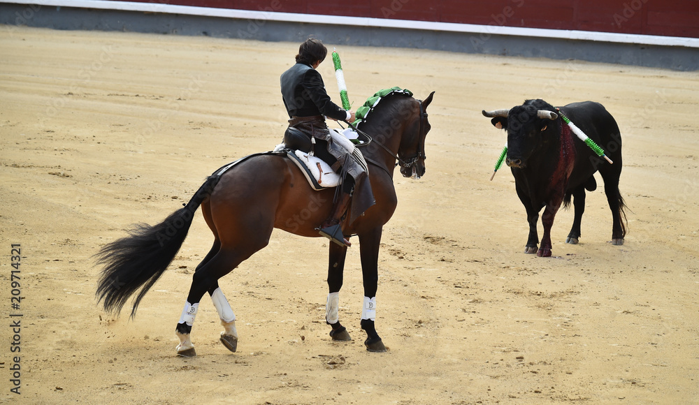 bullfight in spain with horse in bullring bullfight in spain with horse in bullring