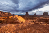 American wild nature