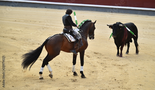 Fototapeta Naklejka Na Ścianę i Meble -  bullfight in spain with horse in bullring