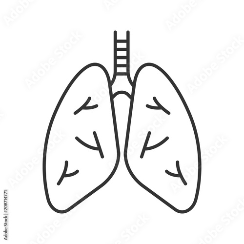 Human lungs linear icon