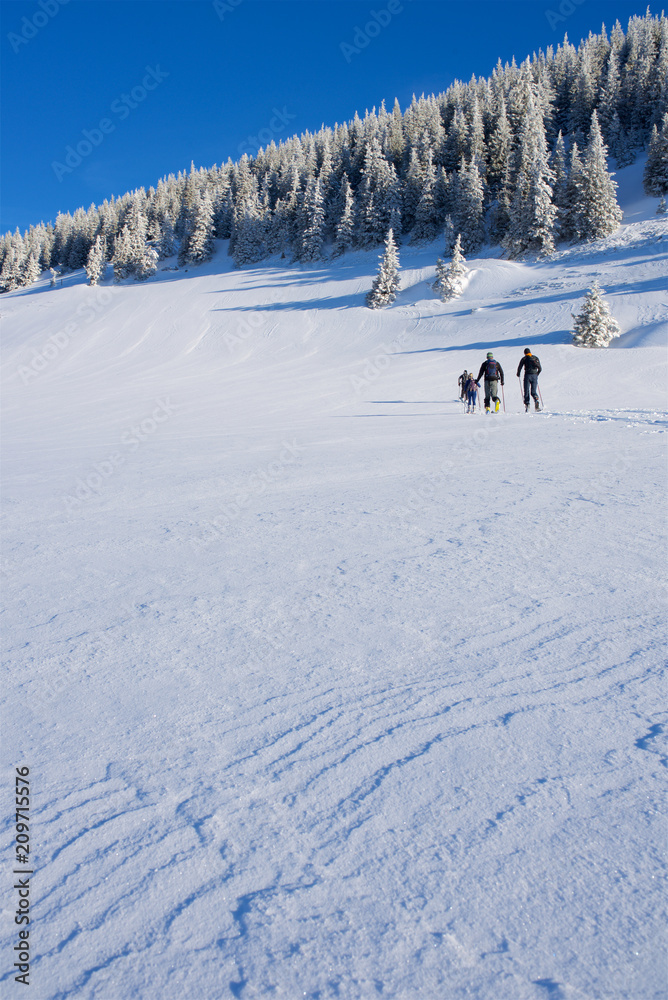 Fototapeta premium Gruppe Skifahrer in Winterlandschaft in den Alpen mit Sonne und blauen Himmel2