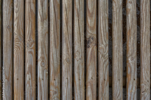 Textur Holz Pfähle Holzstangen