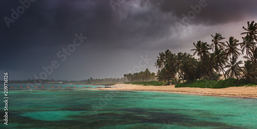 Fototapeta Naklejka Na Ścianę i Meble -  Palm and tropical beach in Punta Cana, Dominican Republic