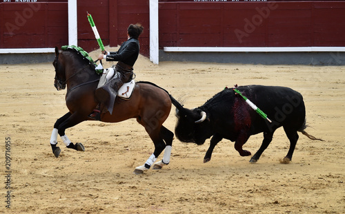 bullfight in spain with horse in bullring