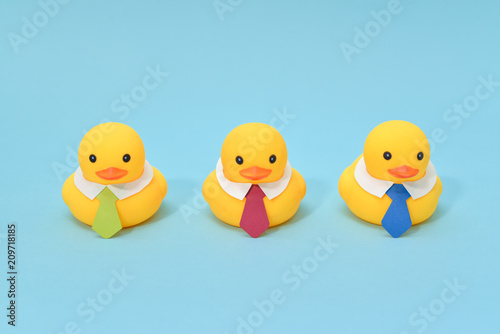 Office life concept, rubber ducks are waring neckties, ready to work © niradj