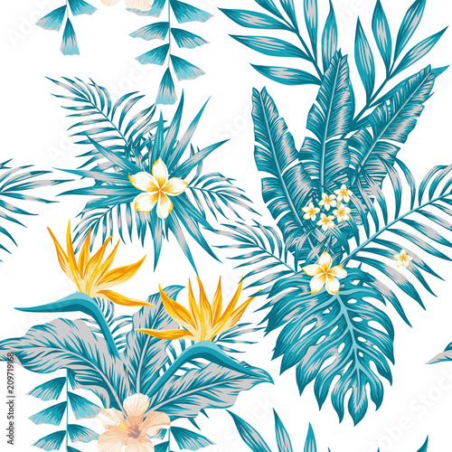 Exotic composition flowers and plants blue color scheme