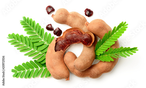 fresh tamarind fruits and leaves isolated on white background