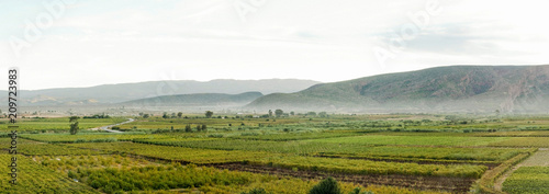 Calitzdorp valley