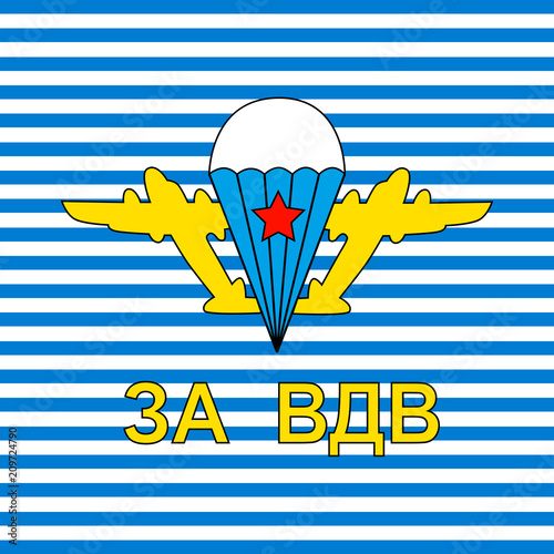 The texture of the paratrooper's vest in the vector.Landing vest background.