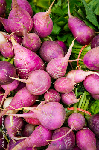 Fresh Raw Turnips at a Local Farmer's Market