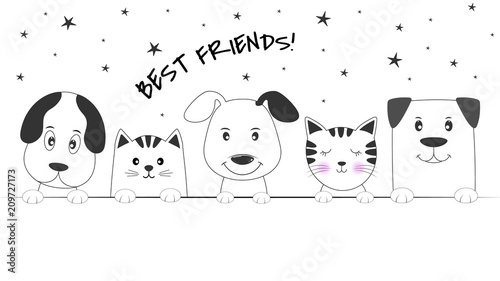 Face cats and dogs best friends white background.