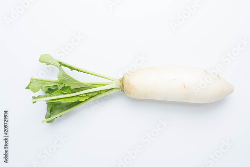 daikon radishes isolated on white