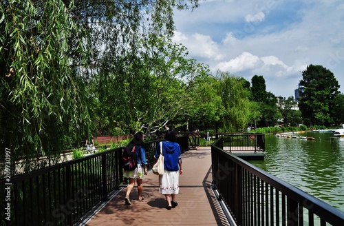 Path on Shinobazunoike pond at Ueno Park, Tokyo, Japan 