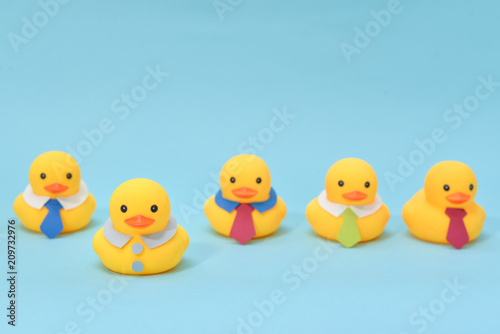 Leadership concept, one of rubber duck is standing out from the line. © niradj