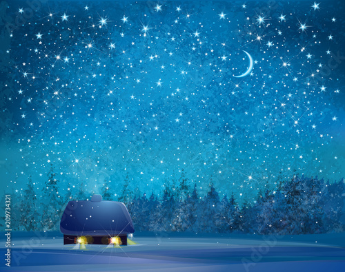 Vector winter wonderland background.