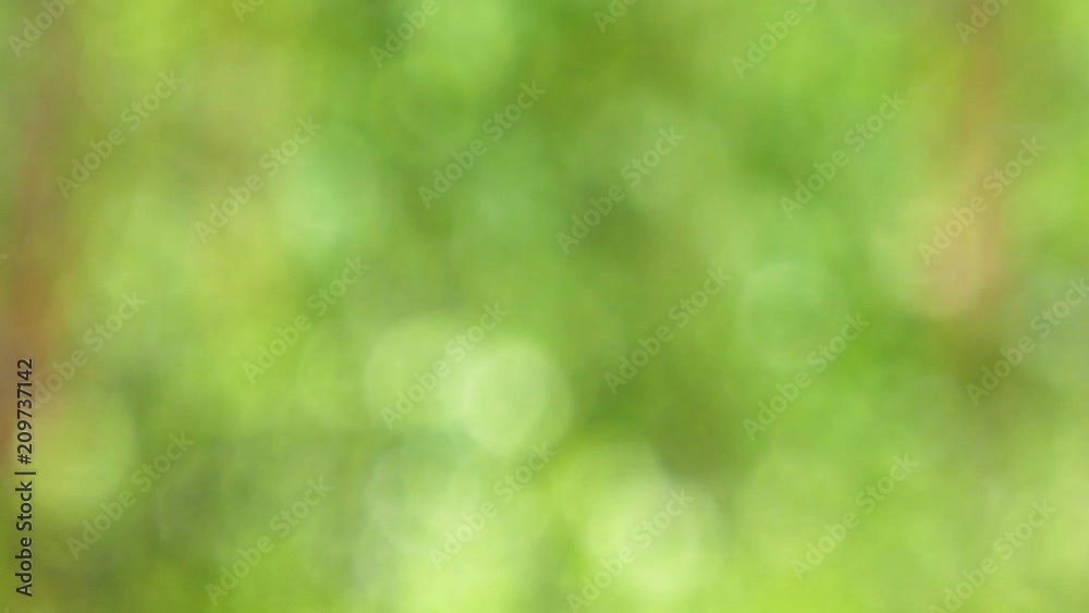 Bokeh background blur Bokeh background blur