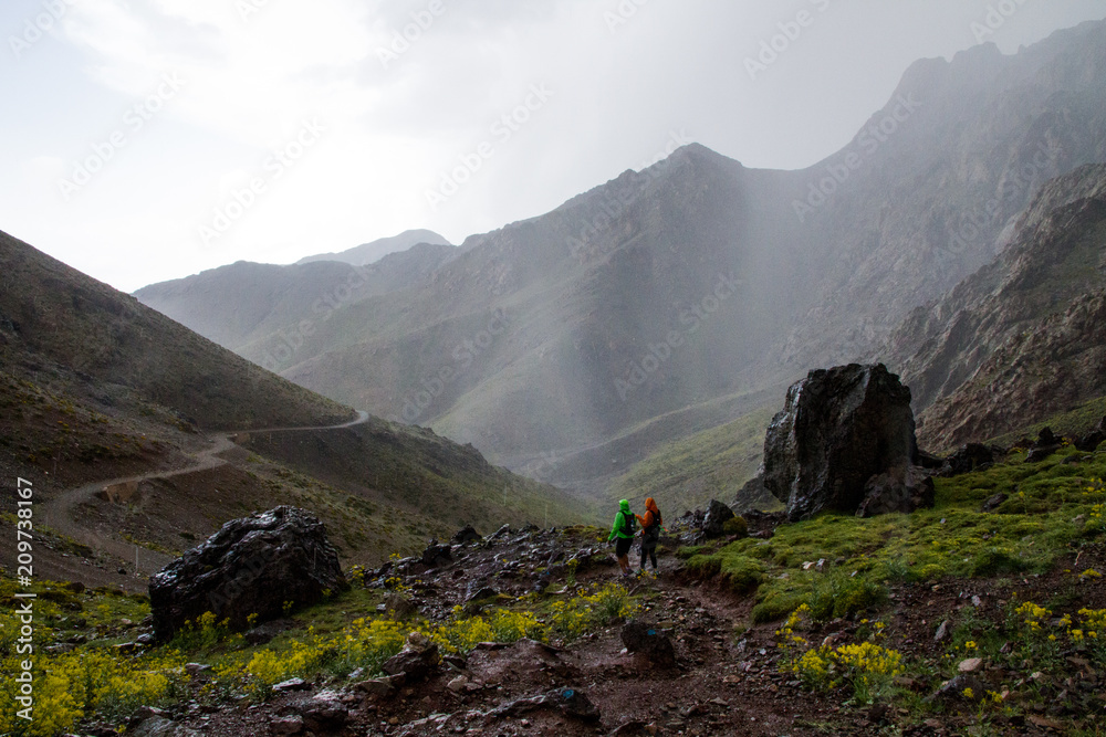 Fototapeta premium chuva