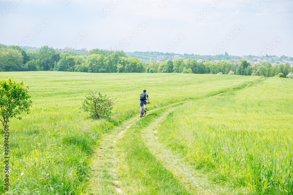 man riding bicycle by trail in green barley field. copy space