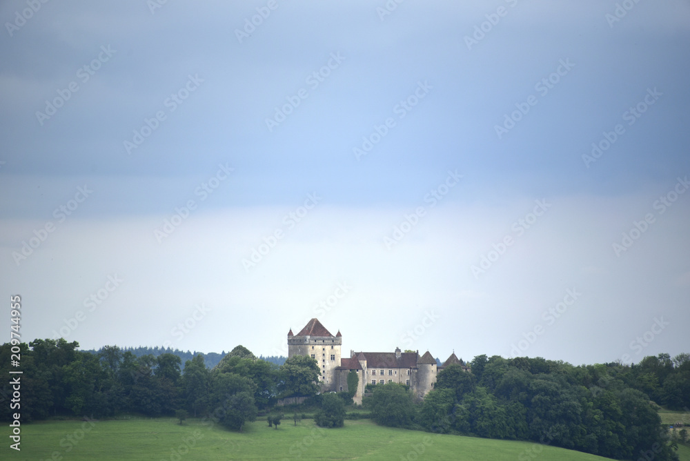 Château du Pin (Jura)