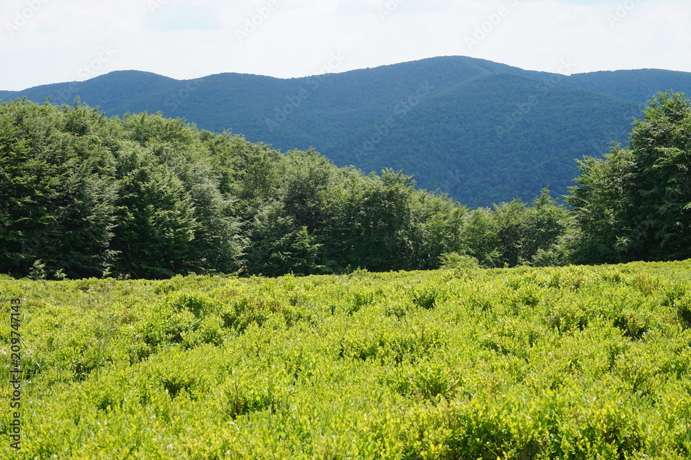 Obraz premium Bieszczady Mountains in Poland