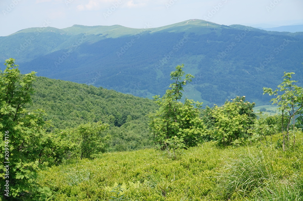 Obraz premium Bieszczady Mountains in Poland