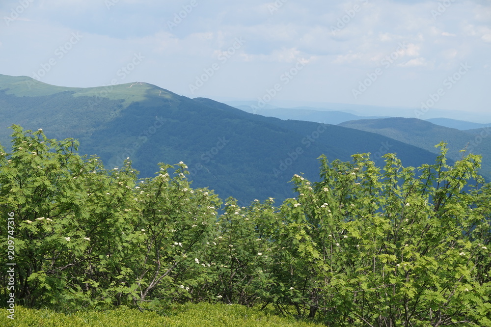 Obraz premium Bieszczady Mountains in Poland