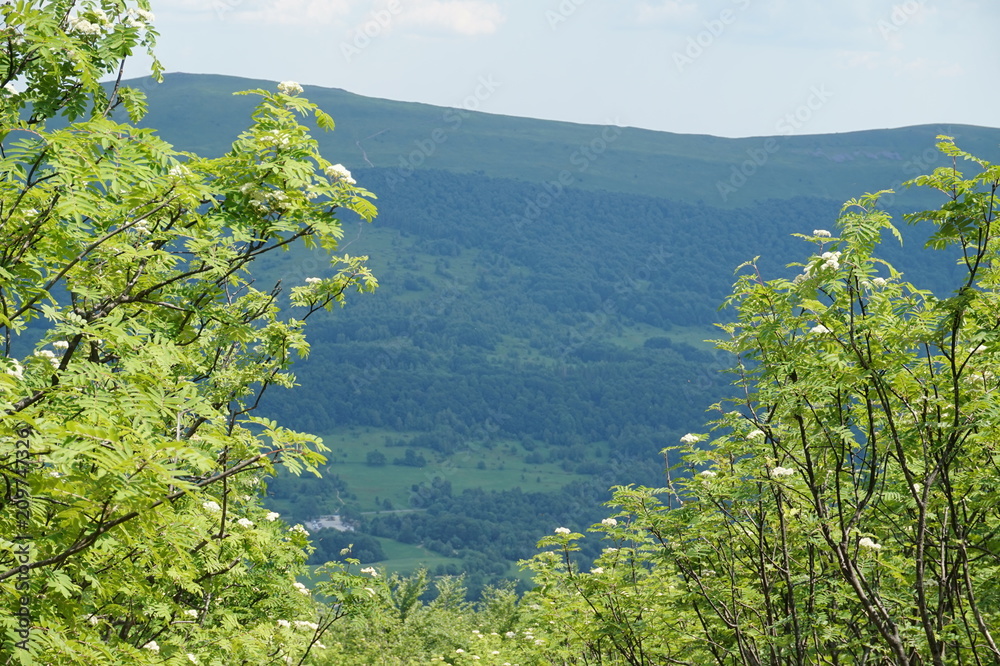 Obraz premium Bieszczady Mountains in Poland