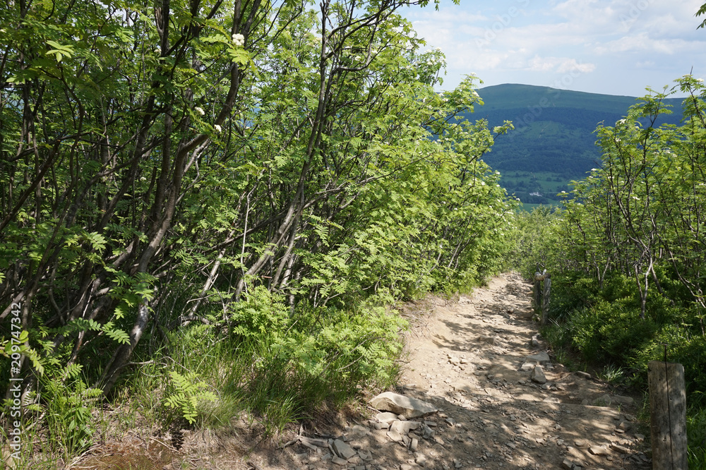 Obraz premium Bieszczady Mountains in Poland