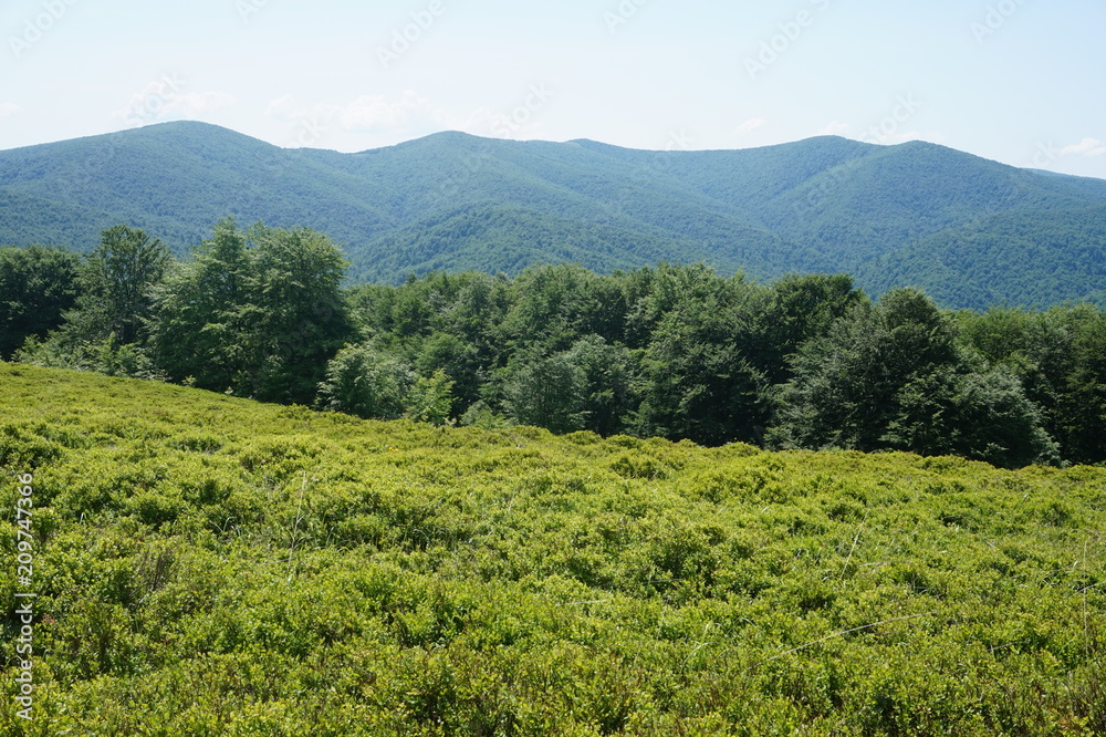 Fototapeta premium Bieszczady Mountains in Poland