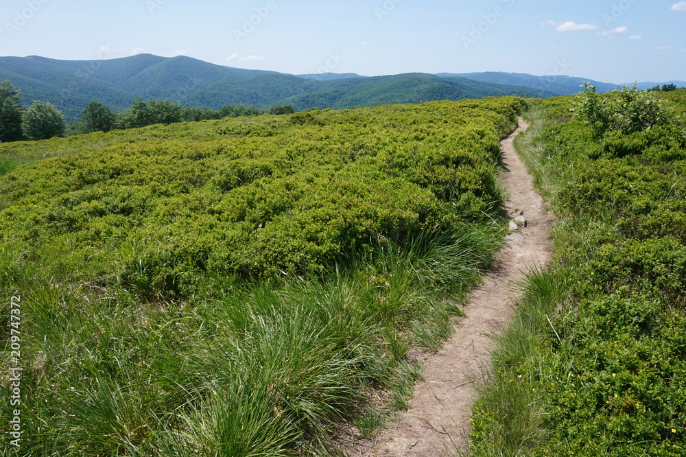 Obraz premium Bieszczady Mountains in Poland