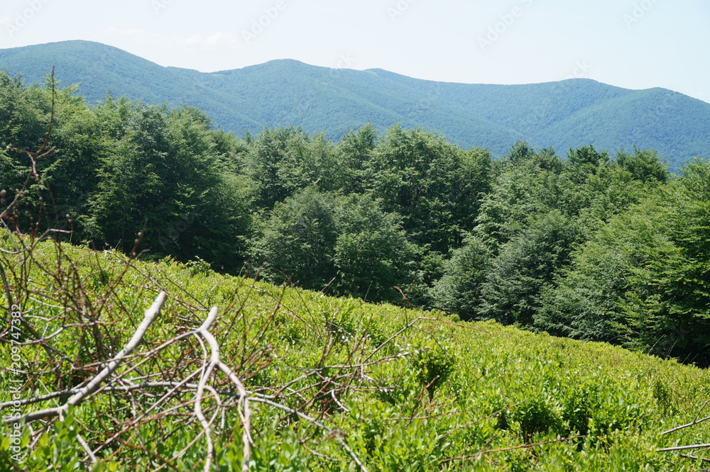 Obraz premium Bieszczady Mountains in Poland