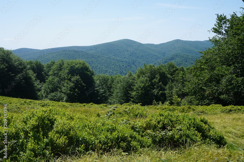 Obraz premium Bieszczady Mountains in Poland