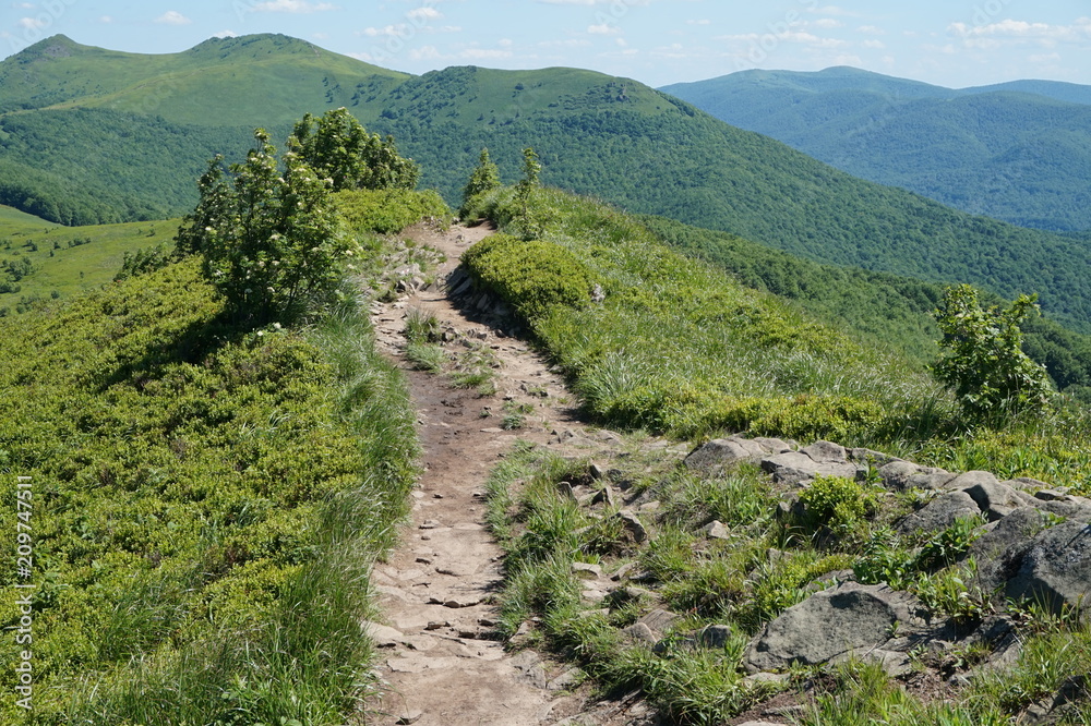 Obraz premium Bieszczady Mountains in Poland