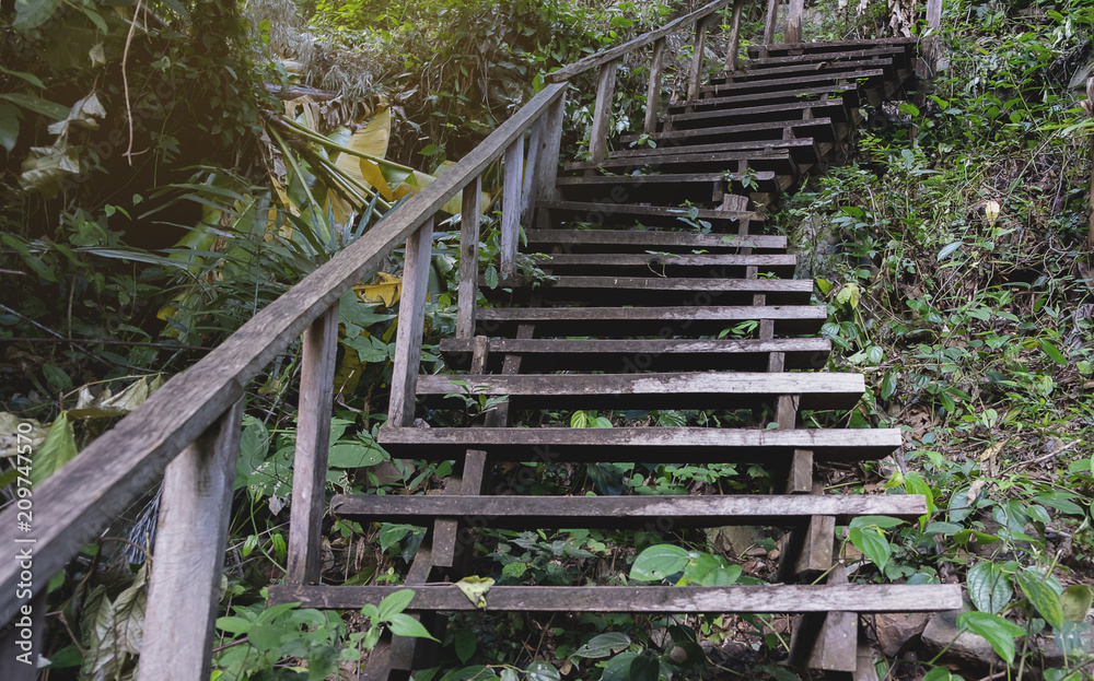 wooden stairs