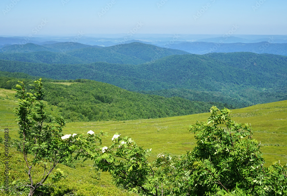 Obraz premium Bieszczady Mountains in Poland