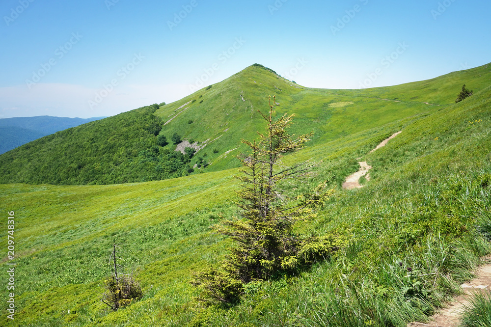 Obraz premium Bieszczady/ Poloniny Mountains in Poland