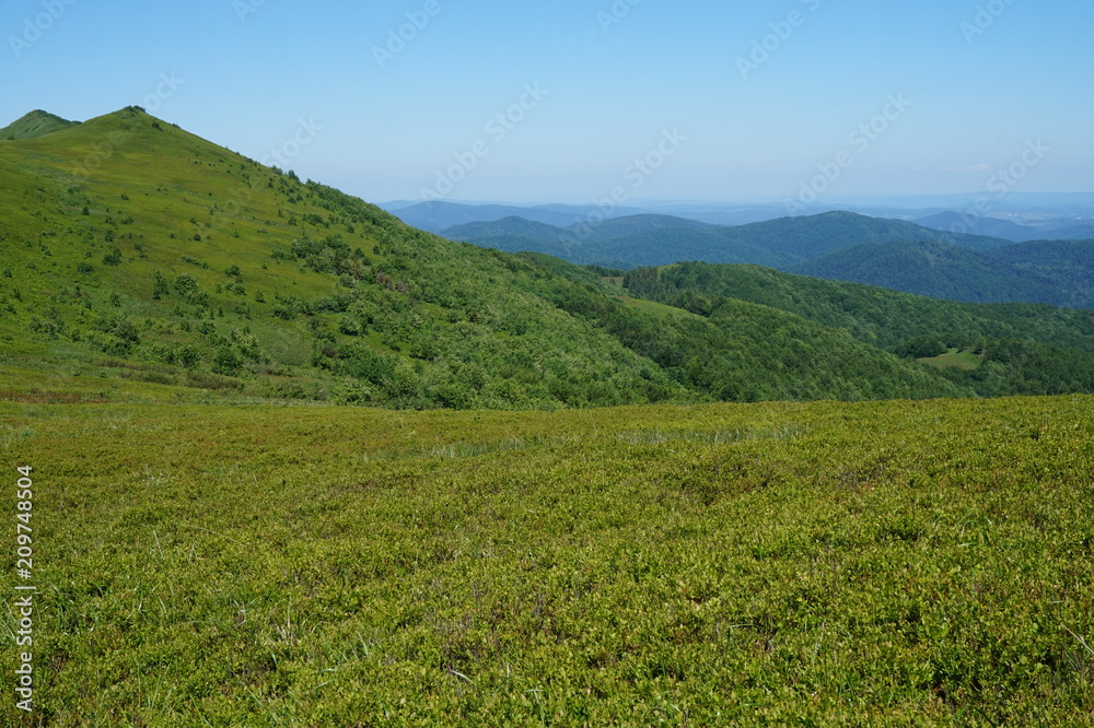 Fototapeta premium Bieszczady Mountains in Poland