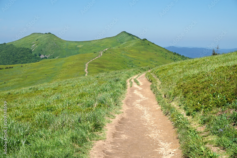 Fototapeta premium Bieszczady/ Poloniny Mountains in Poland