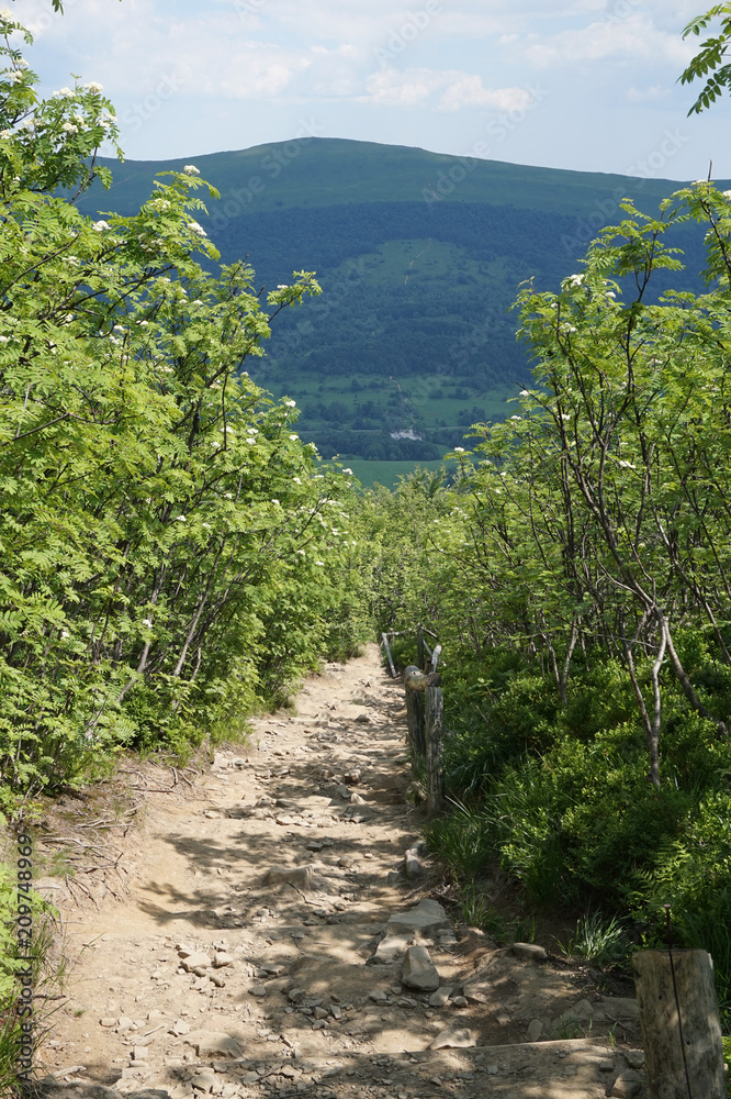 Fototapeta premium Bieszczady Mountains in Poland