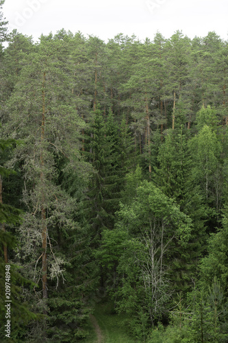 Outcrops of Taevaskoda on the Ahja river, Estonia Polva