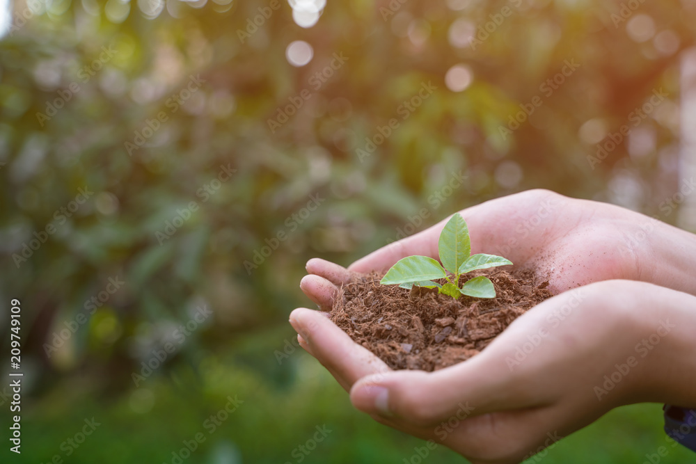 Fototapeta premium Children are planting tree to help increase the fresh air to the world.
