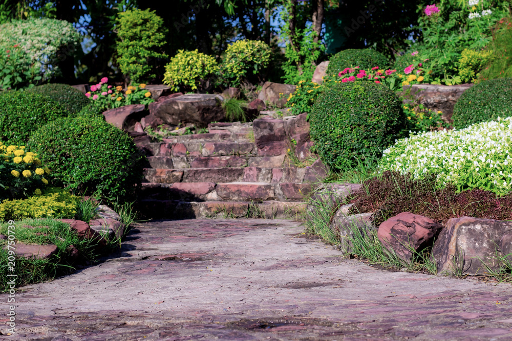 Walkway and flower. Walkway and flower.
