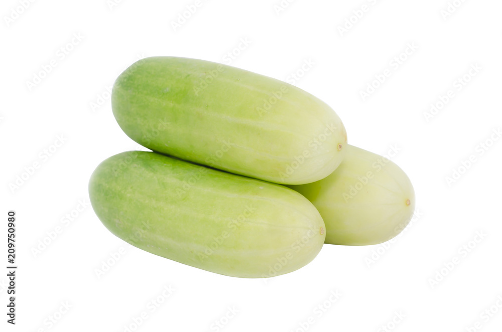 Green fresh cucumber isolated on white. Green fresh cucumber isolated on white.
