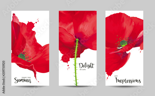 Luxurious bright red vector Poppy flowers paintings set on white background