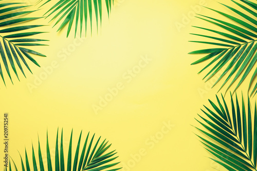 Tropical palm leaves on pastel yellow background. Minimal summer concept. Creative flat lay with copy space. Top view green leaf on punchy pastel paper