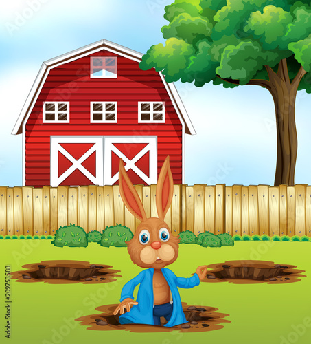 A Rabbit Digging a Hole