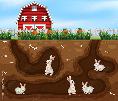 Rabbit House Underground the Farm